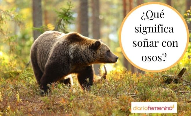 ¡Adéntrate en el impactante significado de soñar con osos marrones!
