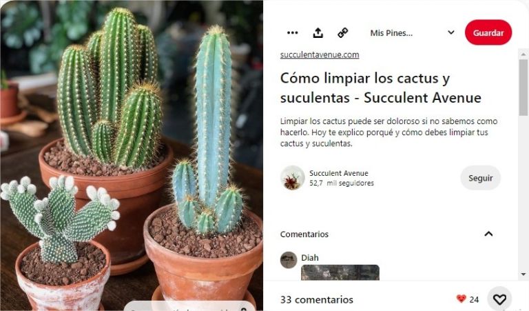Cactus: El significado espiritual que jamás imaginaste