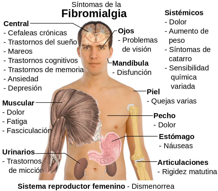 El enfoque espiritual para entender la fibromialgia