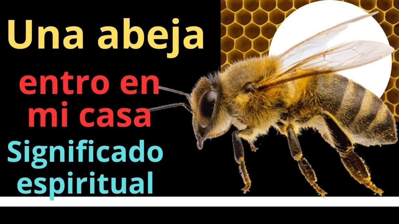 El impactante significado espiritual detrás de la abeja: ¡Te sorprenderá!