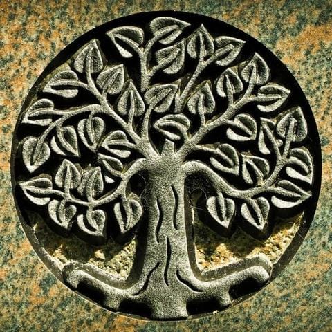 El místico significado espiritual del árbol de la vida ¡Conócelo ahora!