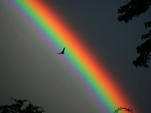 El místico significado espiritual del arcoíris que te sorprenderá
