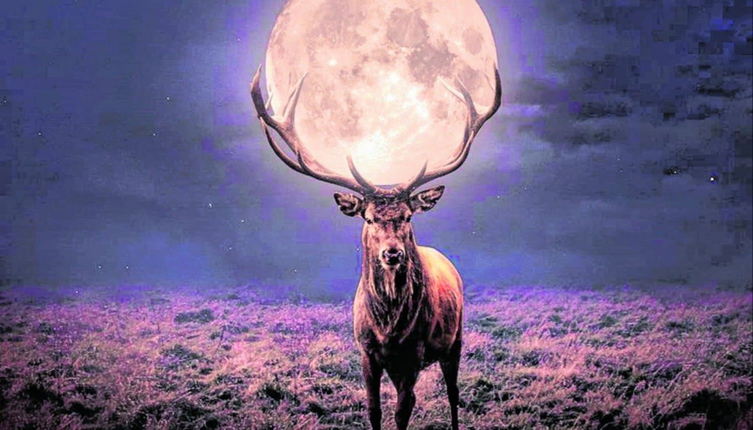 El poder espiritual de la superluna de ciervo